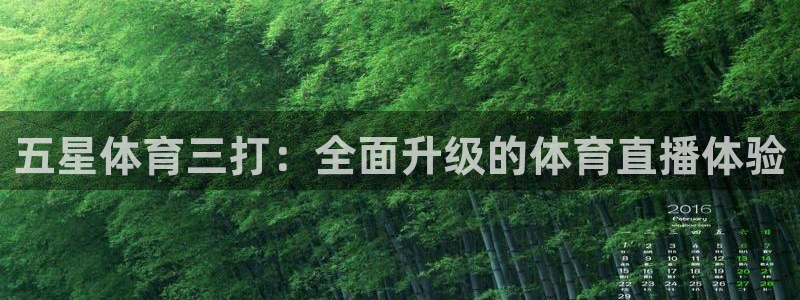 五星体育三打：全面升级的体育直播体验