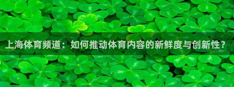 上海体育频道：如何推动体育内容的新鲜度与创新性？