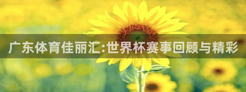 广东体育佳丽汇:世界杯赛事回顾与精彩
