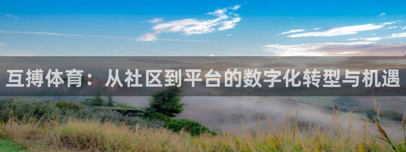 互搏体育：从社区到平台的数字化转型与机遇