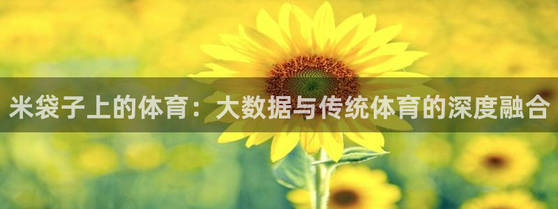 米袋子上的体育：大数据与传统体育的深度融合