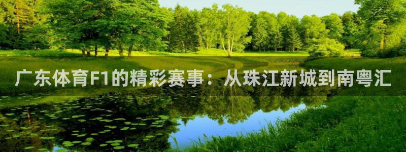 广东体育F1的精彩赛事：从珠江新城到南粤汇