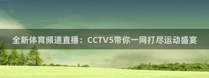 全新体育频道直播：CCTV5带你一网打尽运动盛宴