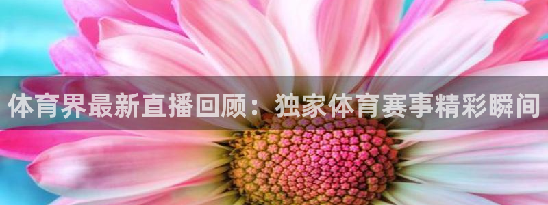 体育界最新直播回顾：独家体育赛事精彩瞬间