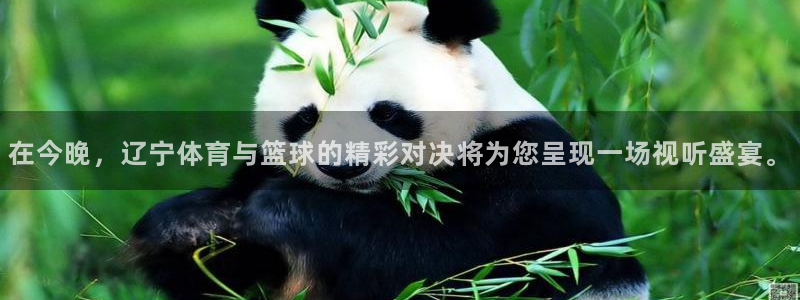 在今晚，辽宁体育与篮球的精彩对决将为您呈现一场视听盛宴。