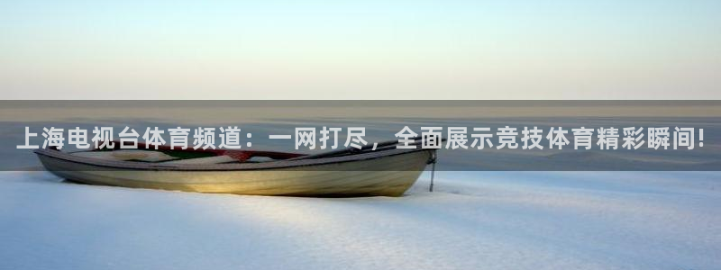 上海电视台体育频道：一网打尽，全面展示竞技体育精彩瞬间!