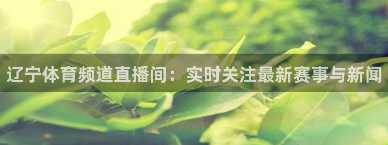 辽宁体育频道直播间：实时关注最新赛事与新闻