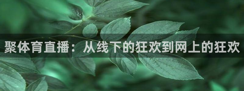 聚体育直播：从线下的狂欢到网上的狂欢