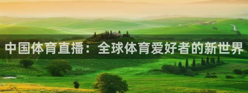 中国体育直播：全球体育爱好者的新世界