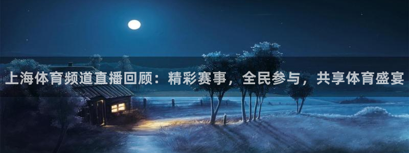 上海体育频道直播回顾：精彩赛事，全民参与，共享体育盛宴