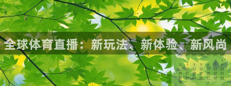 全球体育直播：新玩法、新体验、新风尚