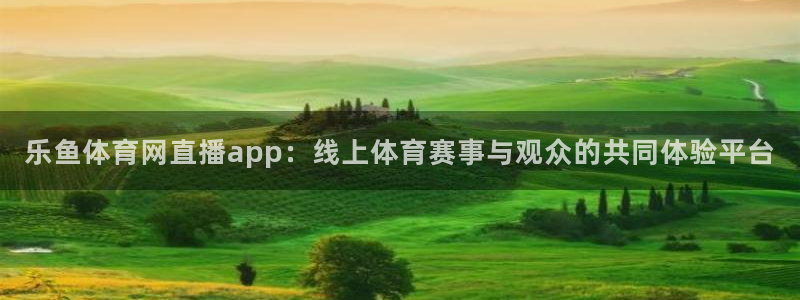 乐鱼体育网直播app：线上体育赛事与观众的共同体验平台