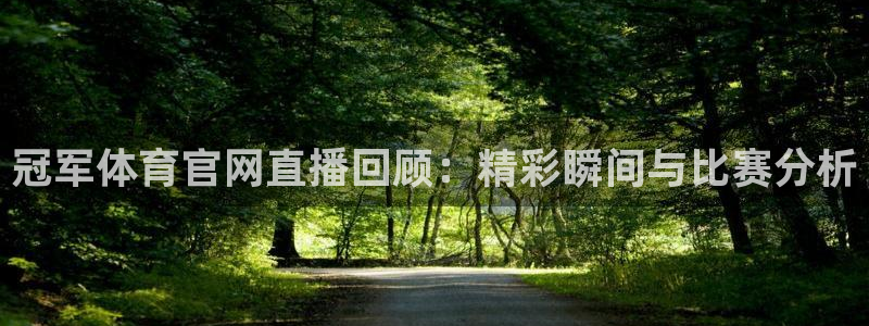 冠军体育官网直播回顾：精彩瞬间与比赛分析