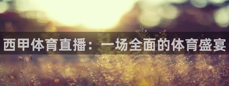 西甲体育直播：一场全面的体育盛宴