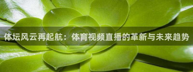 体坛风云再起航：体育视频直播的革新与未来趋势