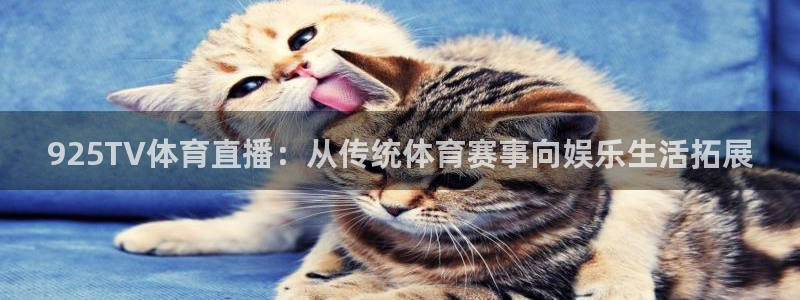 925TV体育直播：从传统体育赛事向娱乐生活拓展