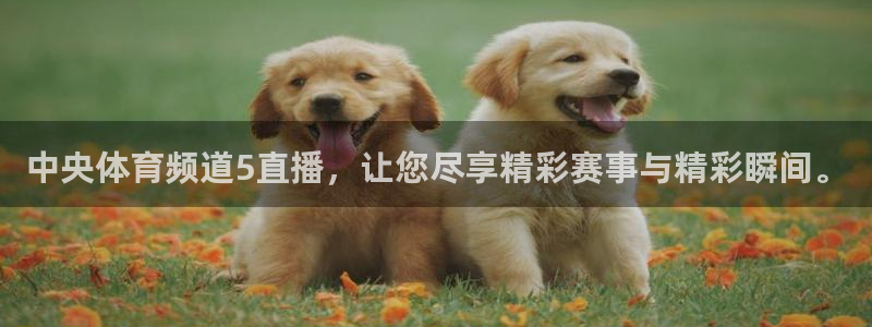 中央体育频道5直播，让您尽享精彩赛事与精彩瞬间。
