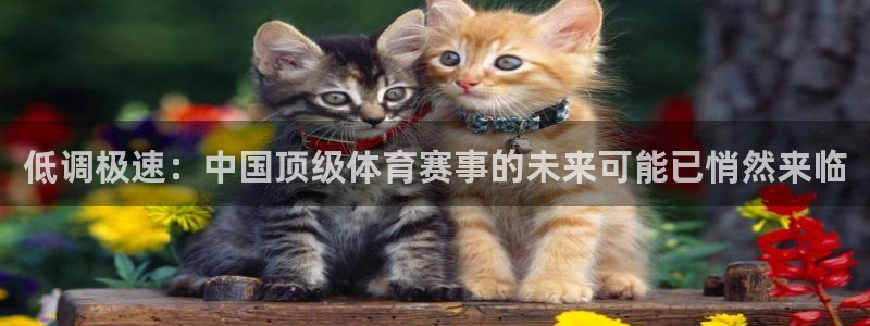 低调极速：中国顶级体育赛事的未来可能已悄然来临