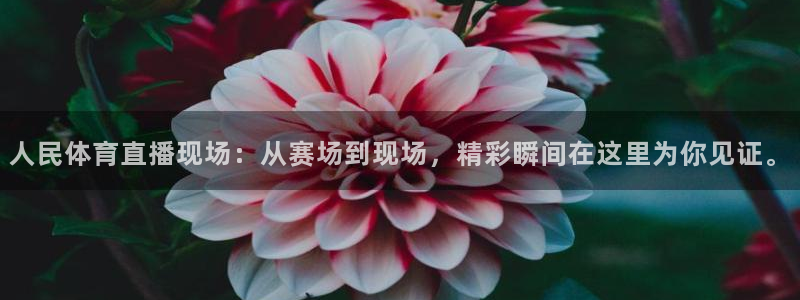 人民体育直播现场：从赛场到现场，精彩瞬间在这里为你见证。