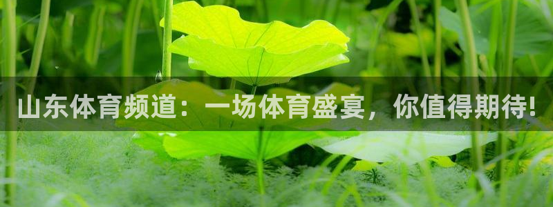 山东体育频道：一场体育盛宴，你值得期待!