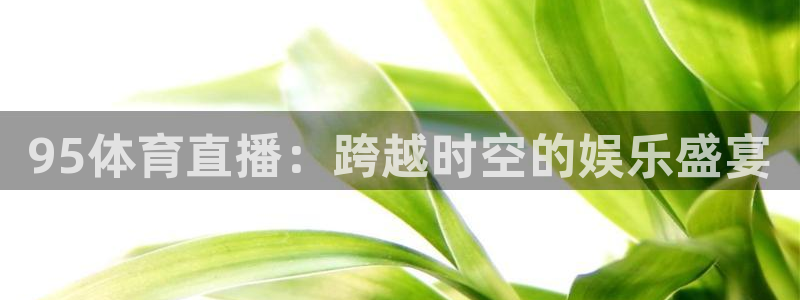 95体育直播：跨越时空的娱乐盛宴