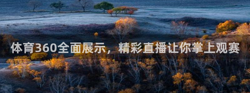体育360全面展示，精彩直播让你掌上观赛