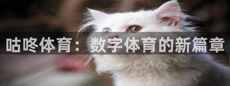 咕咚体育：数字体育的新篇章