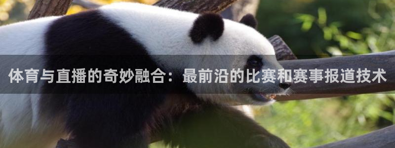 体育与直播的奇妙融合：最前沿的比赛和赛事报道技术